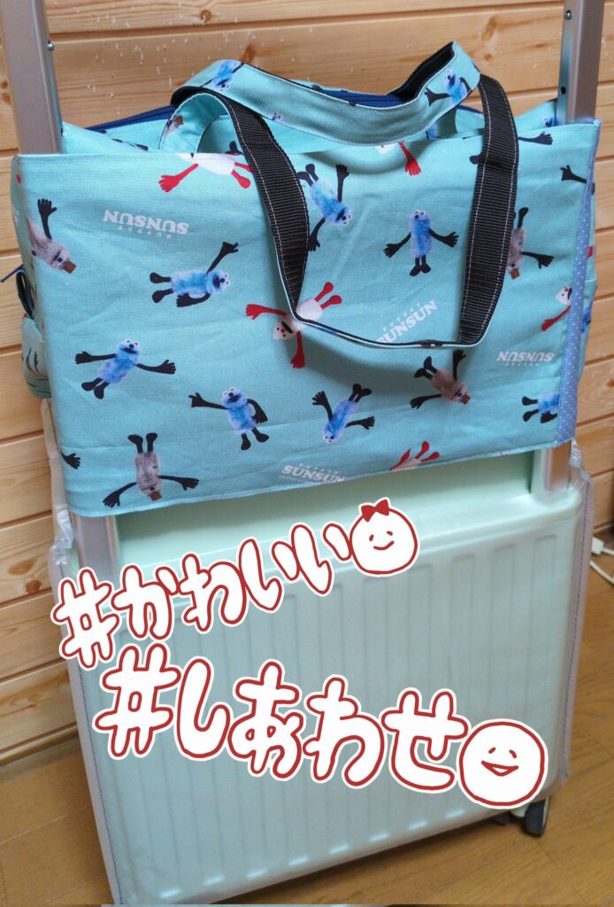 セリアトラベルバッグ