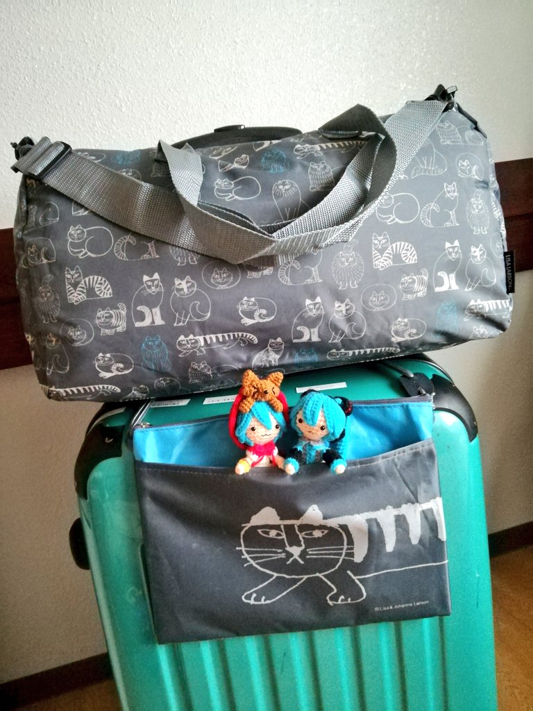 セリア旅行バッグ